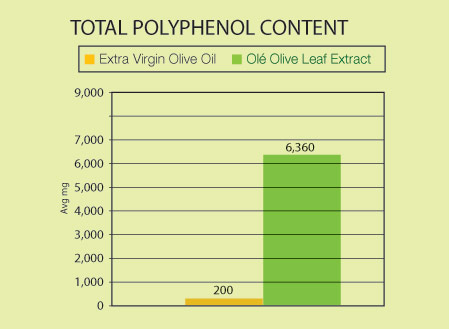 TOTAL POLYPHENOL CONTENT